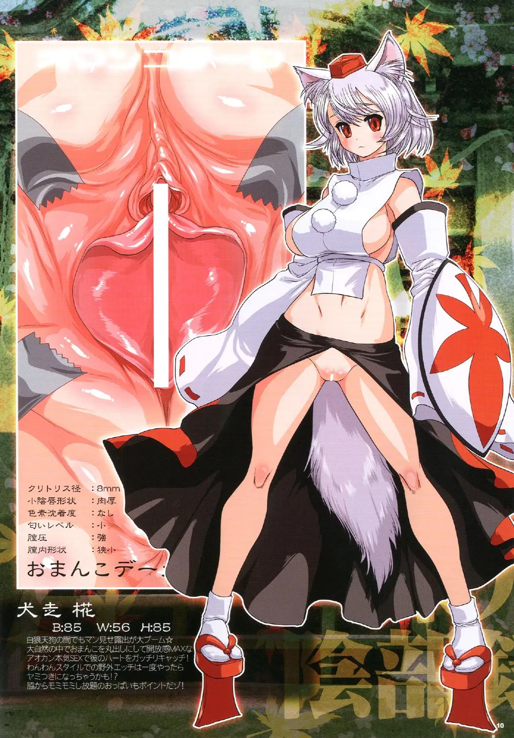 Touhou Inburoku
