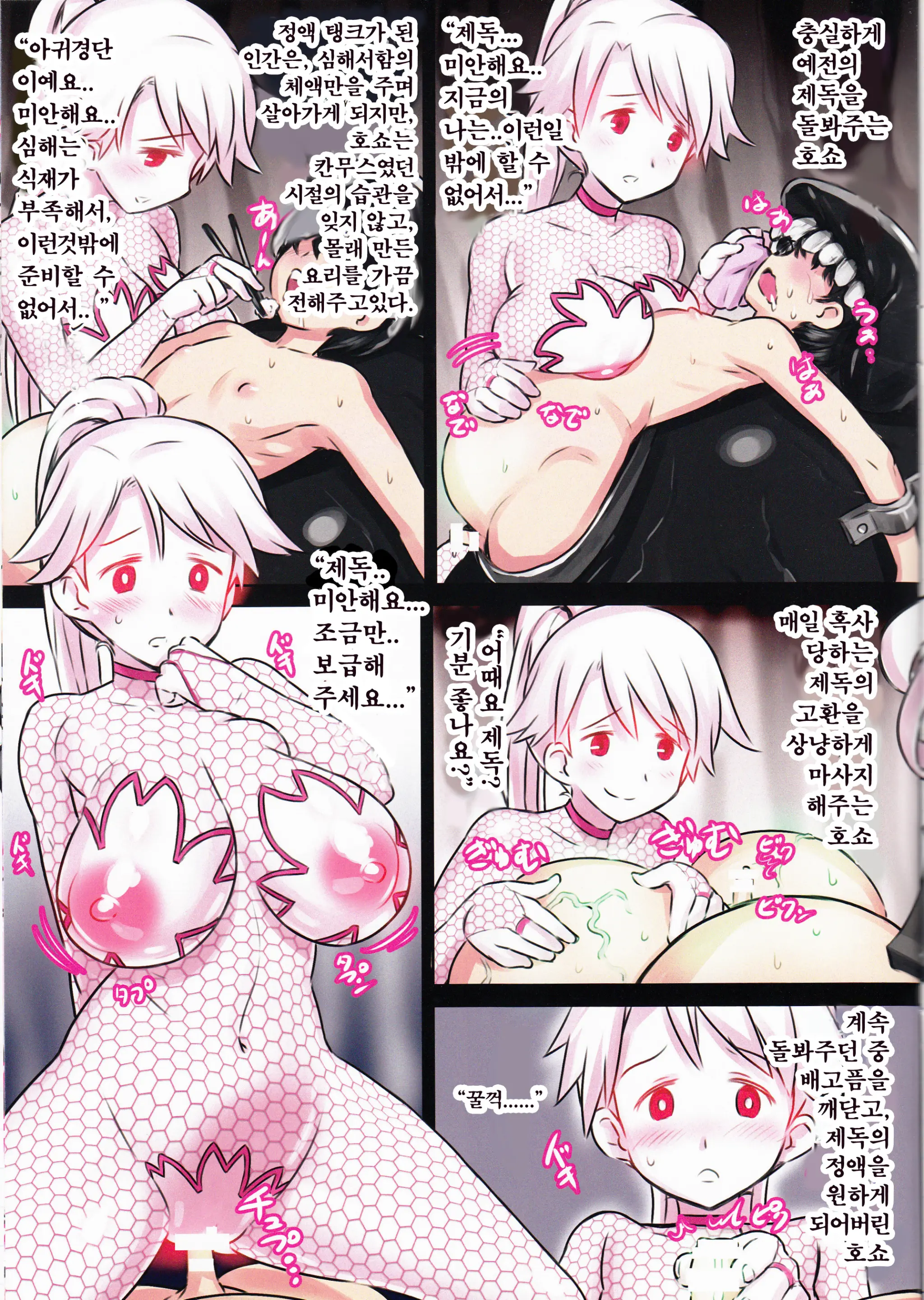 Shinkai Seikanka KanMusu Report