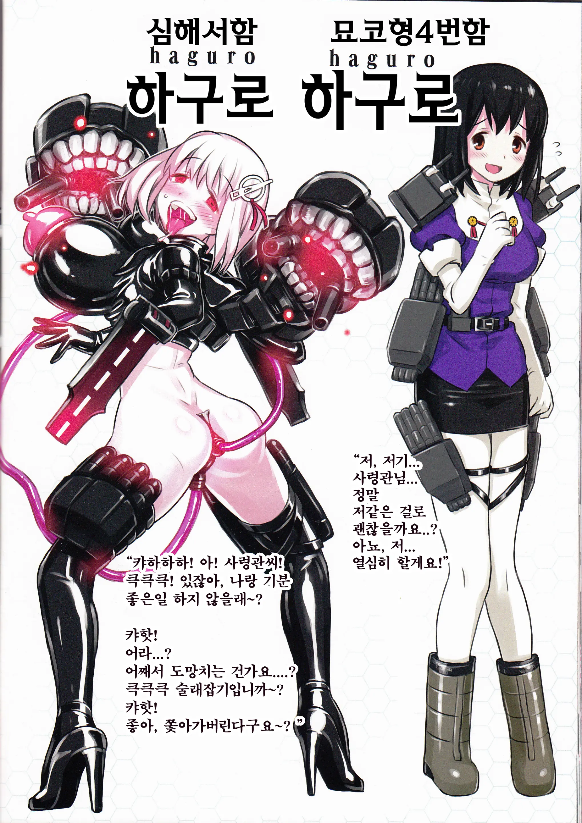 Shinkai Seikanka KanMusu Report