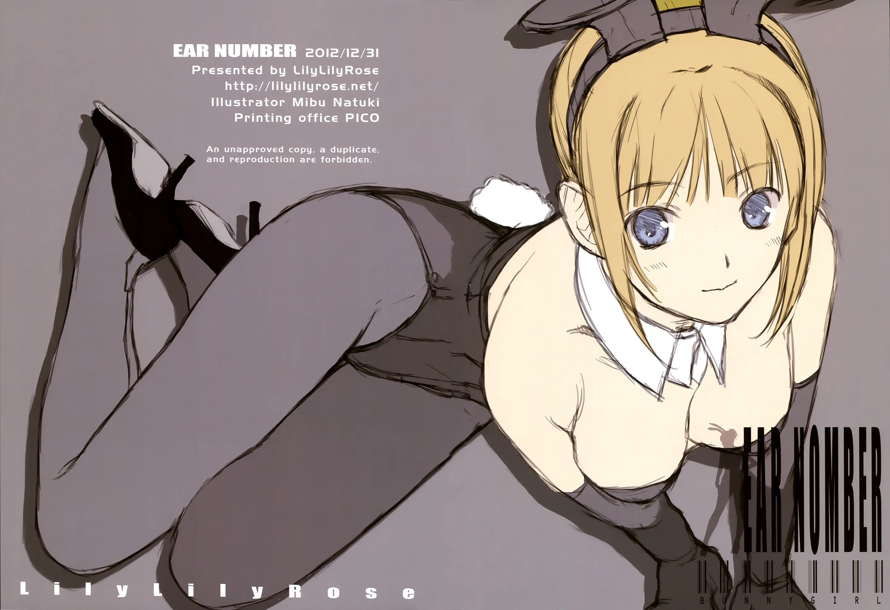 EAR NUMBER