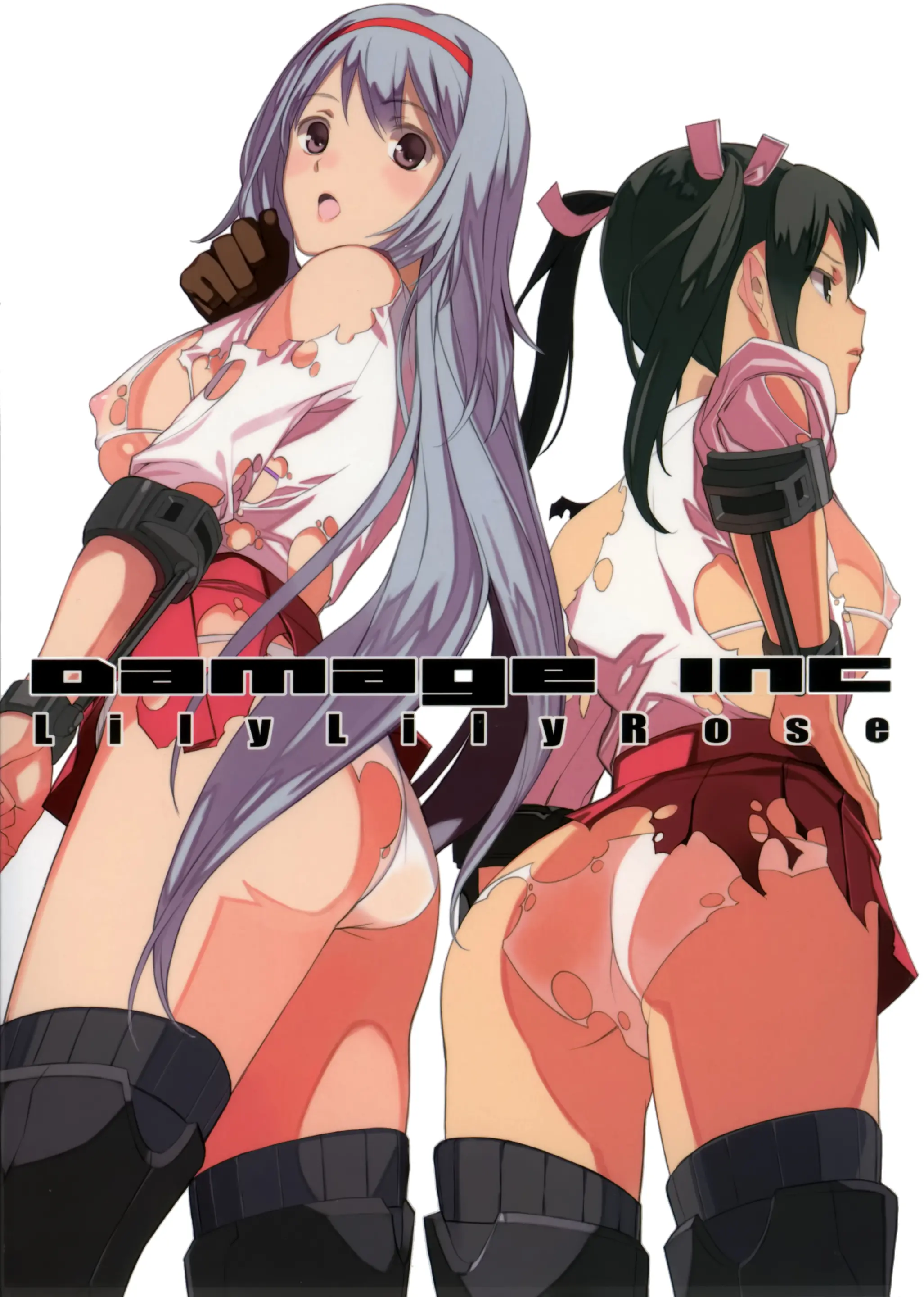 DAMAGEinc