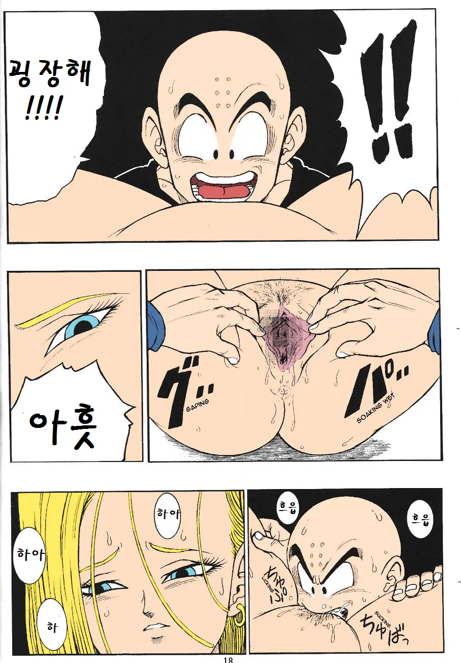 DragonBall H Maki San