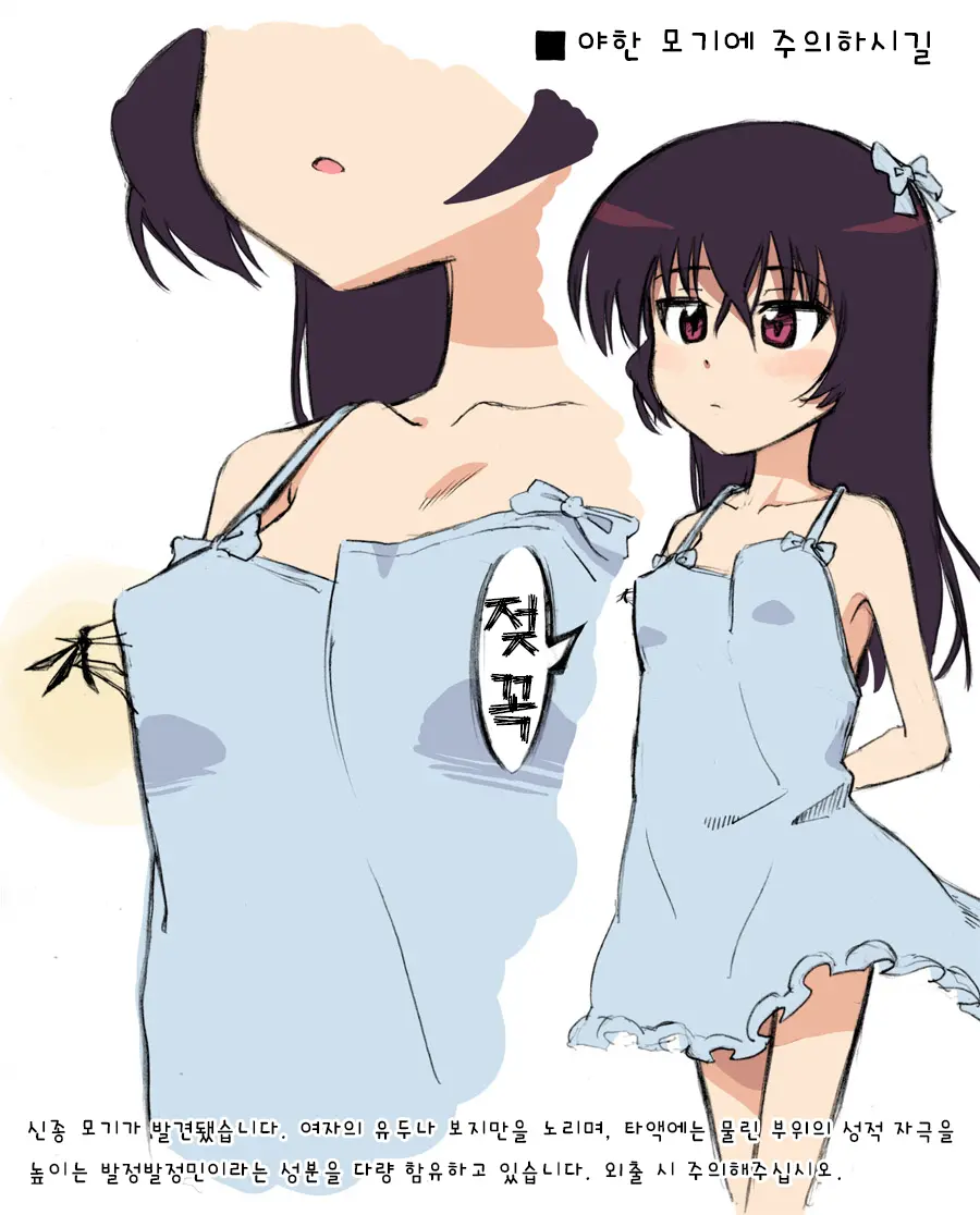 Ecchi Na Ka Ni Gochuui O!
