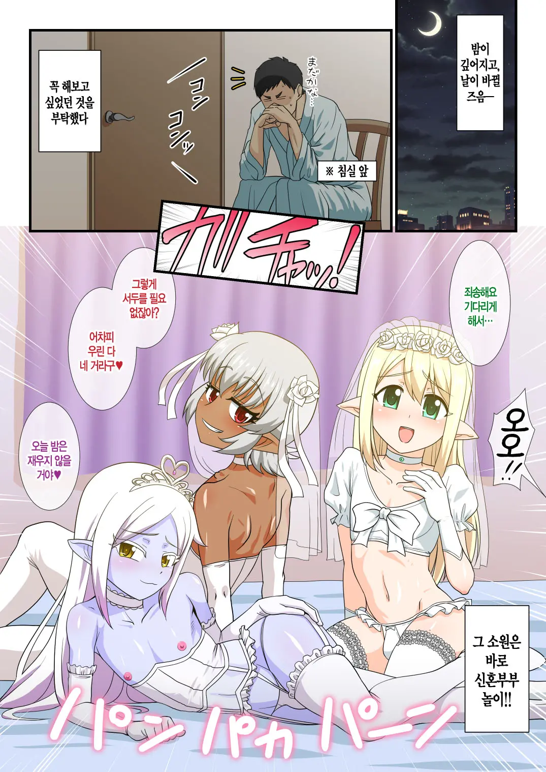 Itsuka Otokonoko Elf-Tachi Ga Wagaya Ni Kitara | 언젠가 오토코노코 엘프들이 내집에 찾아온다면