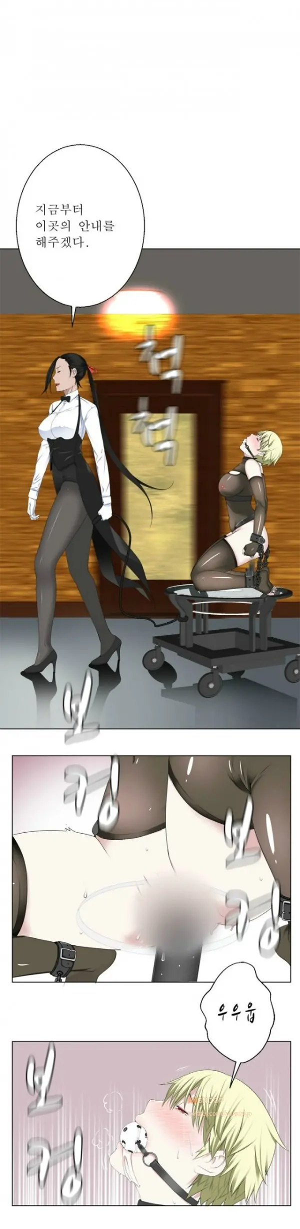 Franken Jo