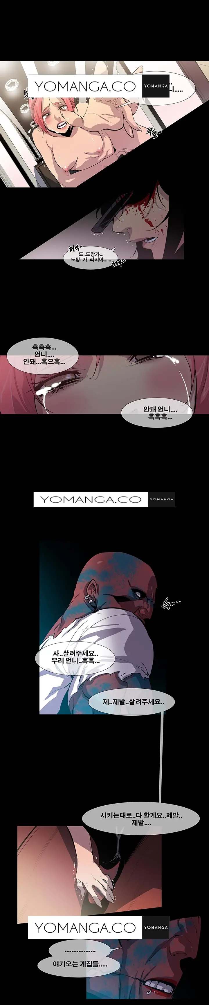 Canine Tooth Ch.1-17