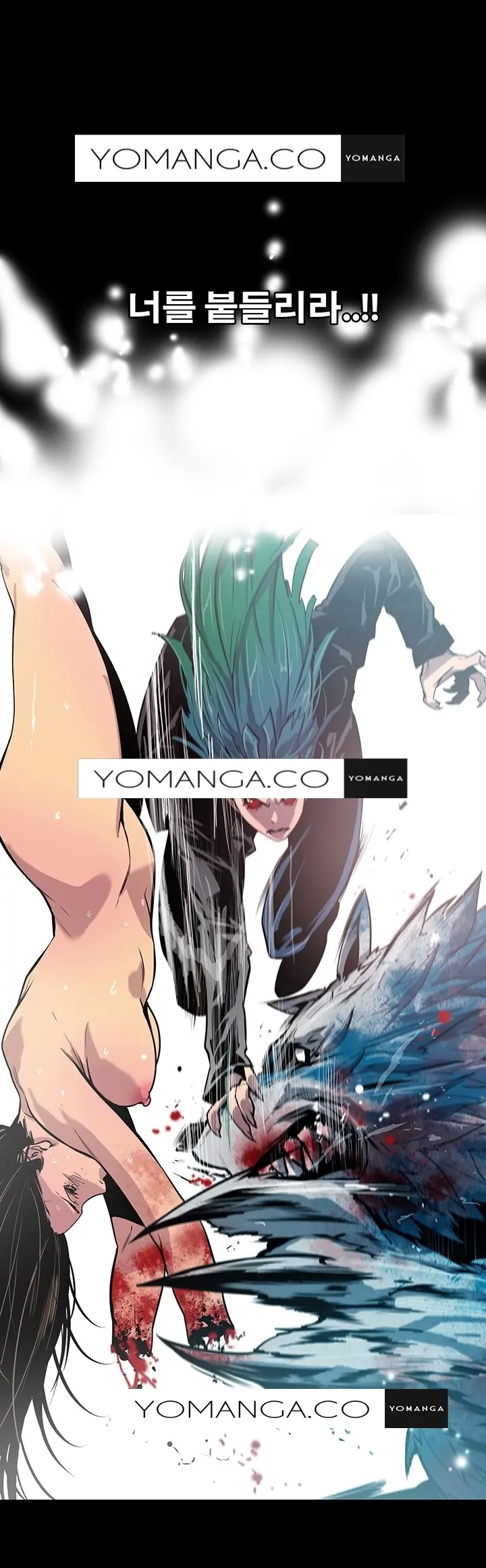 Canine Tooth Ch.1-17