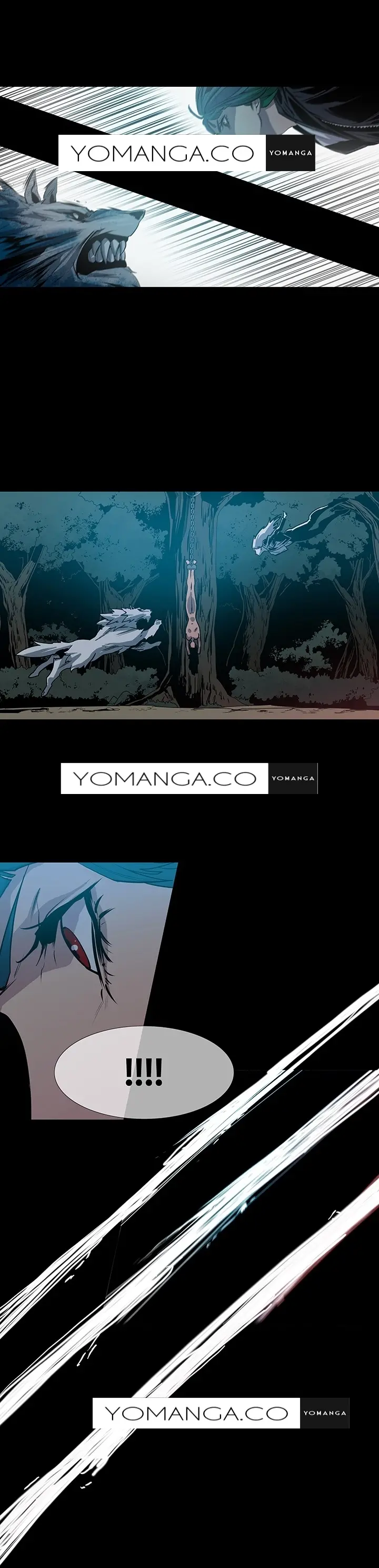 Canine Tooth Ch.1-17