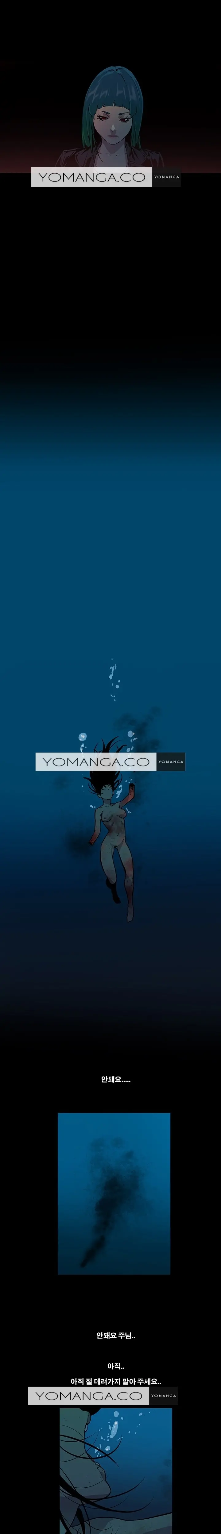 Canine Tooth Ch.1-17