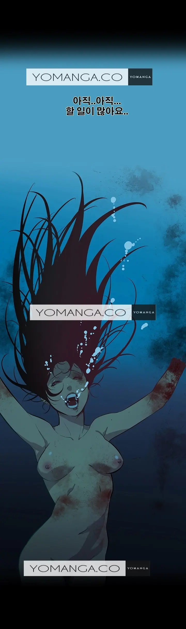 Canine Tooth Ch.1-17