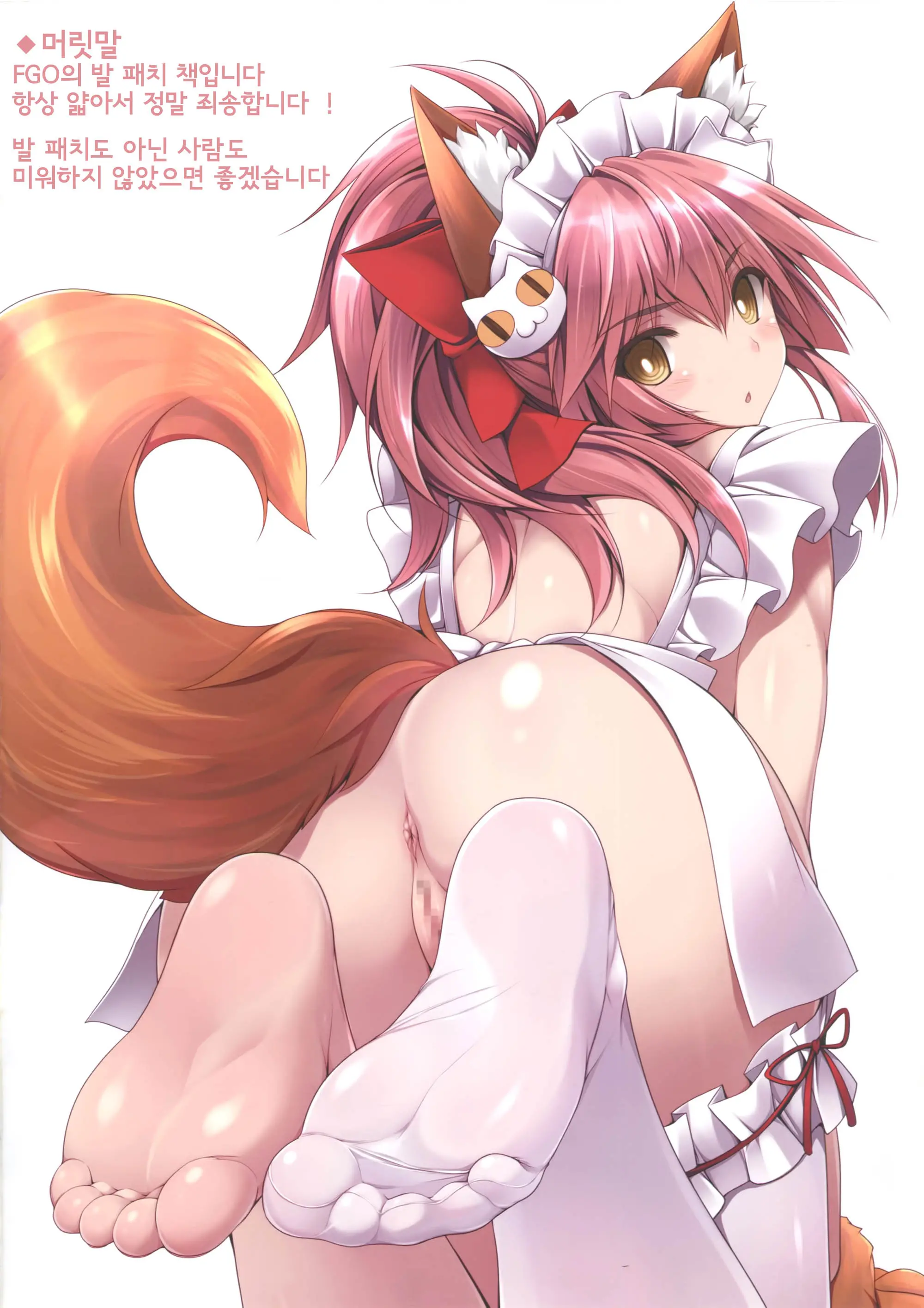 FGO No Ashibon | FGO의 발 패치책