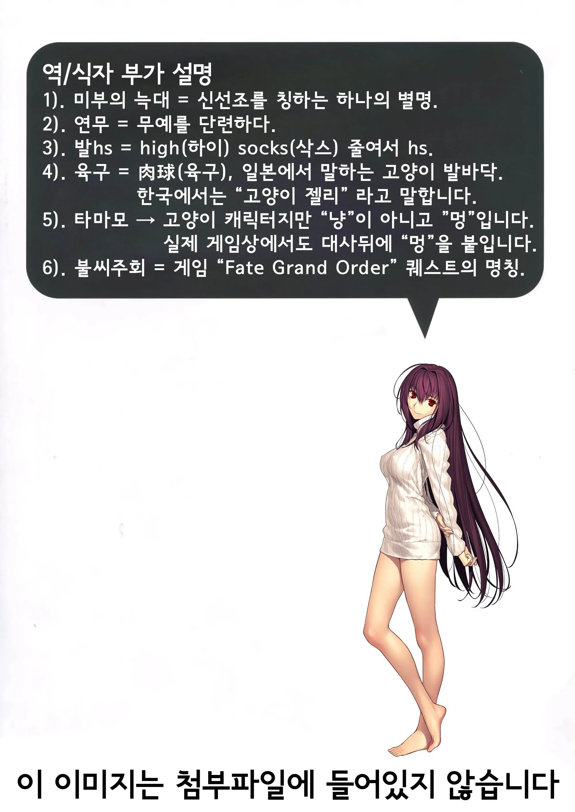 FGO No Ashibon | FGO의 발 패치책