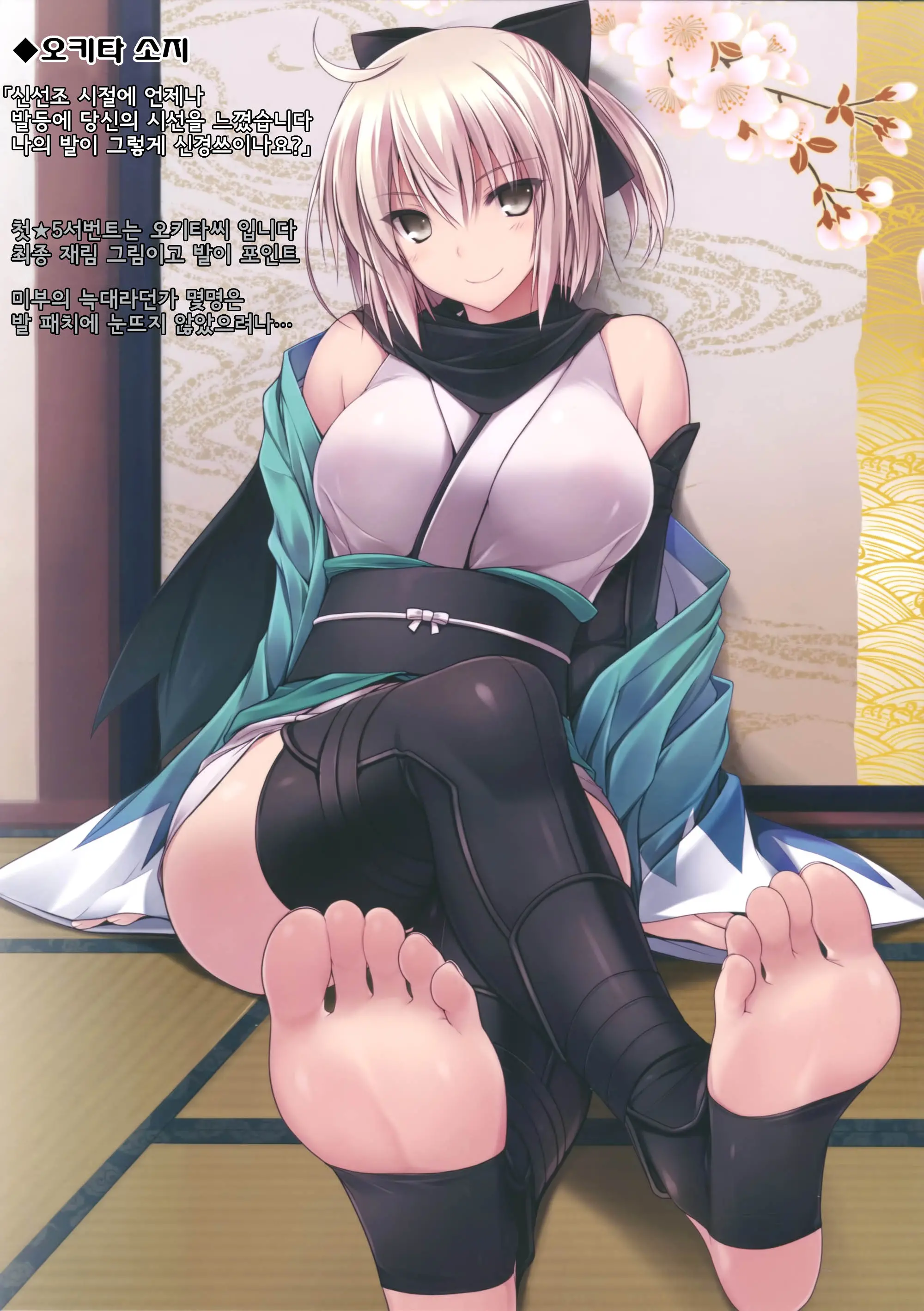 FGO No Ashibon | FGO의 발 패치책
