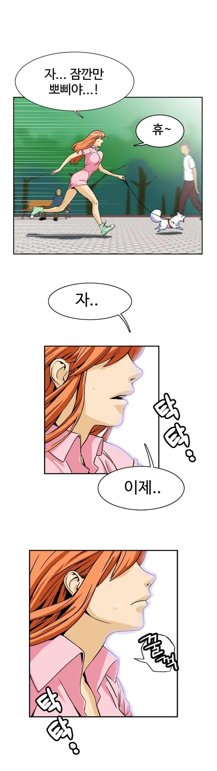 Chauffeur Service Ch.1-30.5