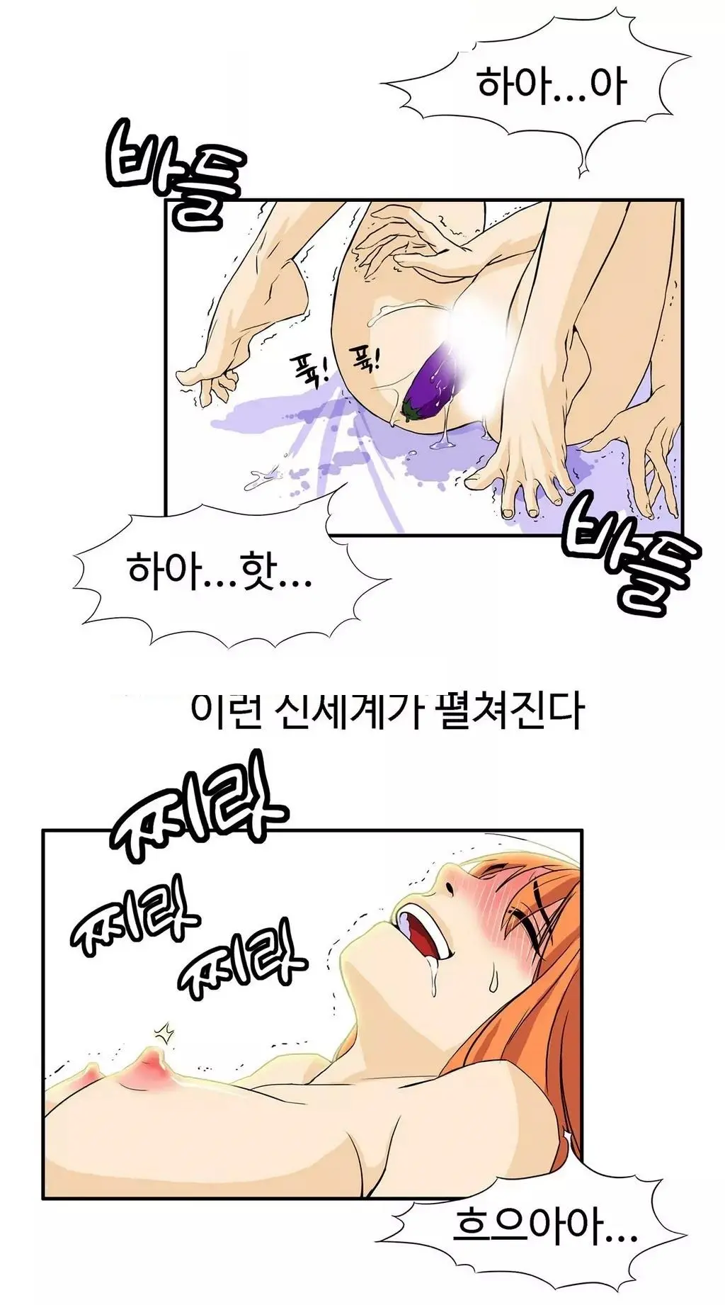 Chauffeur Service Ch.1-30.5