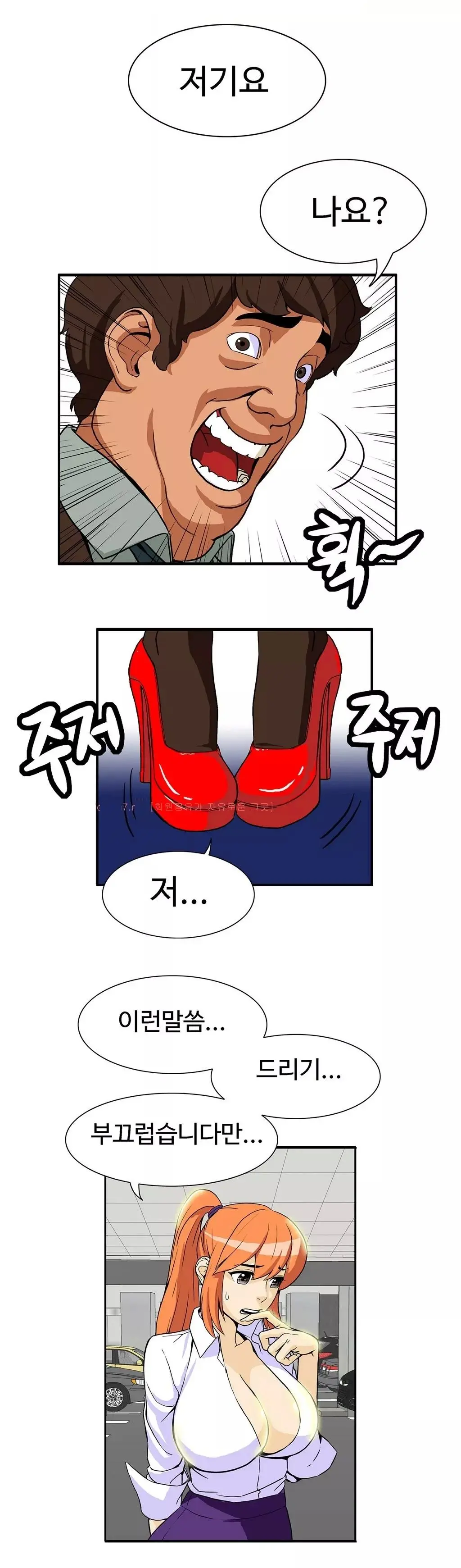 Chauffeur Service Ch.1-30.5