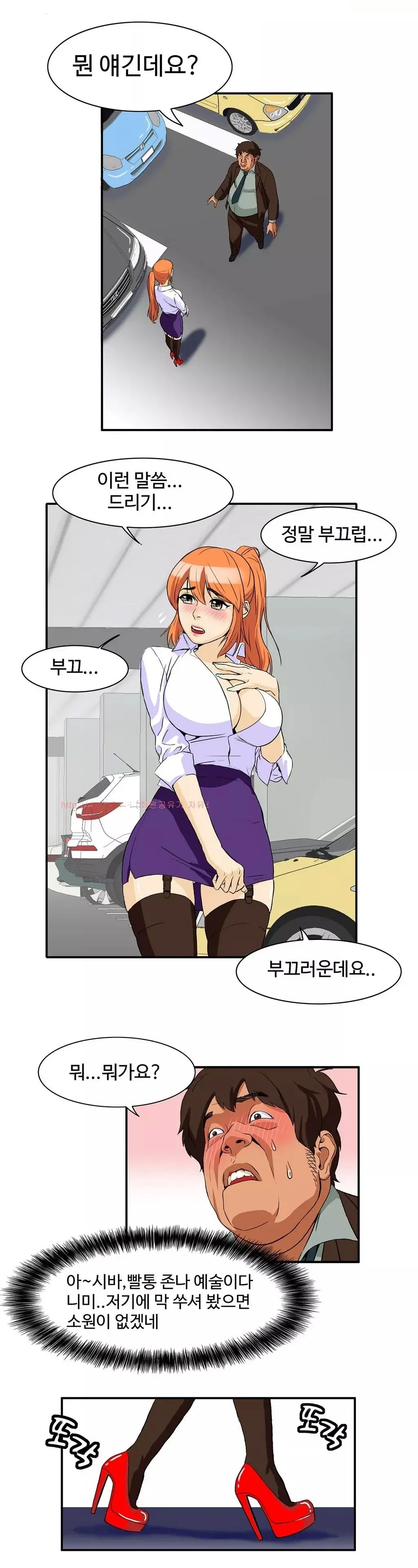 Chauffeur Service Ch.1-30.5