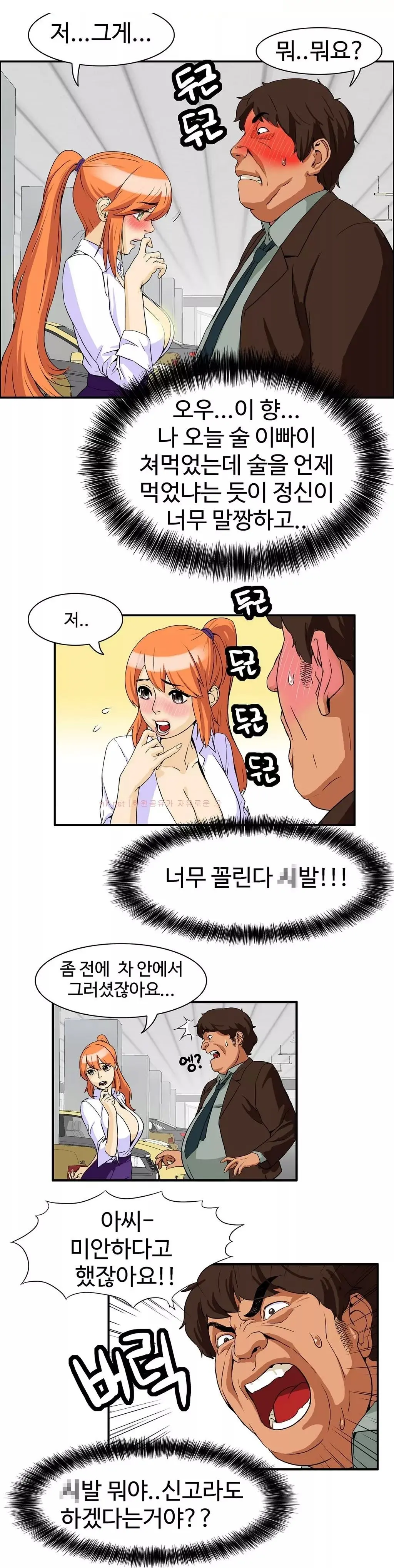 Chauffeur Service Ch.1-30.5
