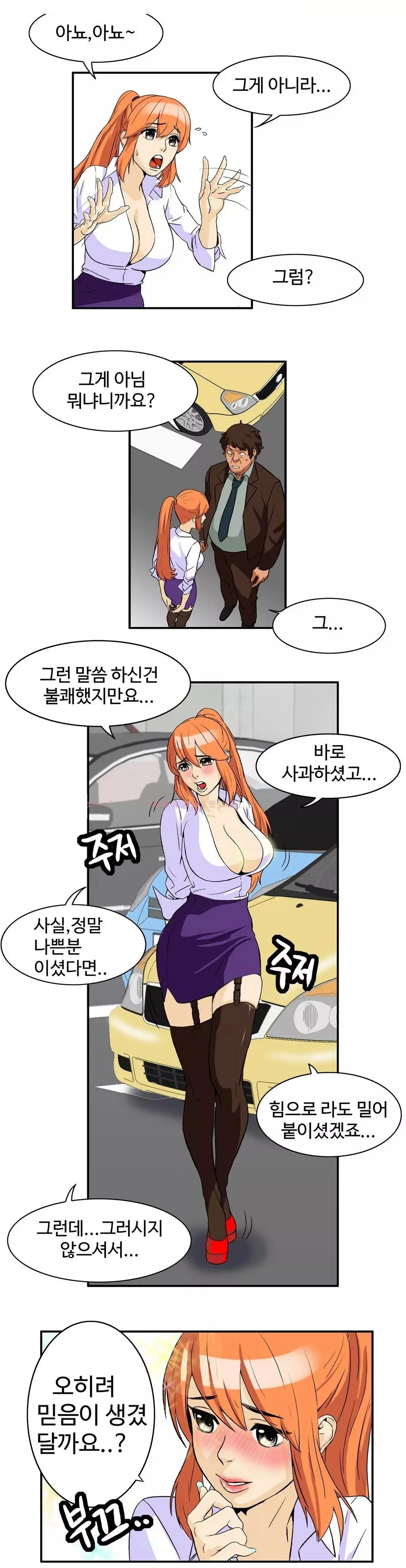 Chauffeur Service Ch.1-30.5