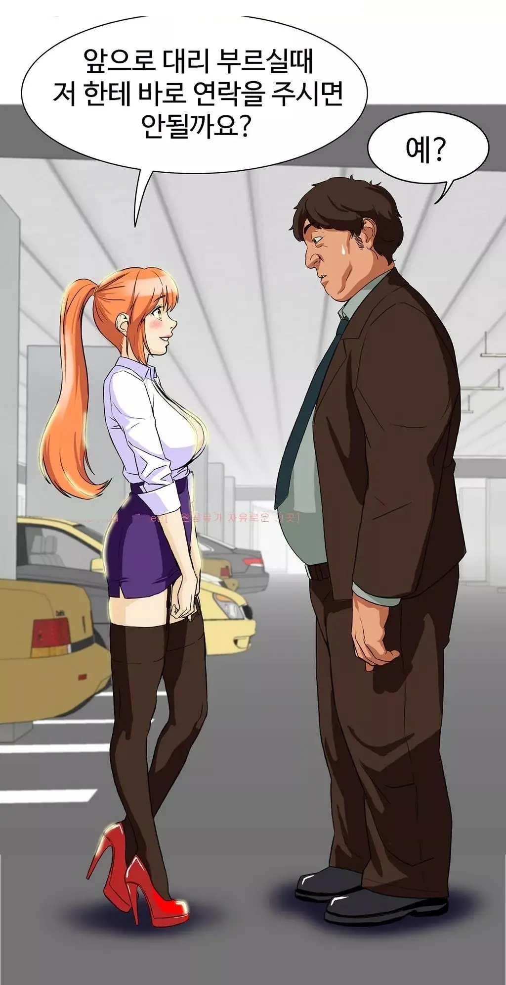 Chauffeur Service Ch.1-30.5