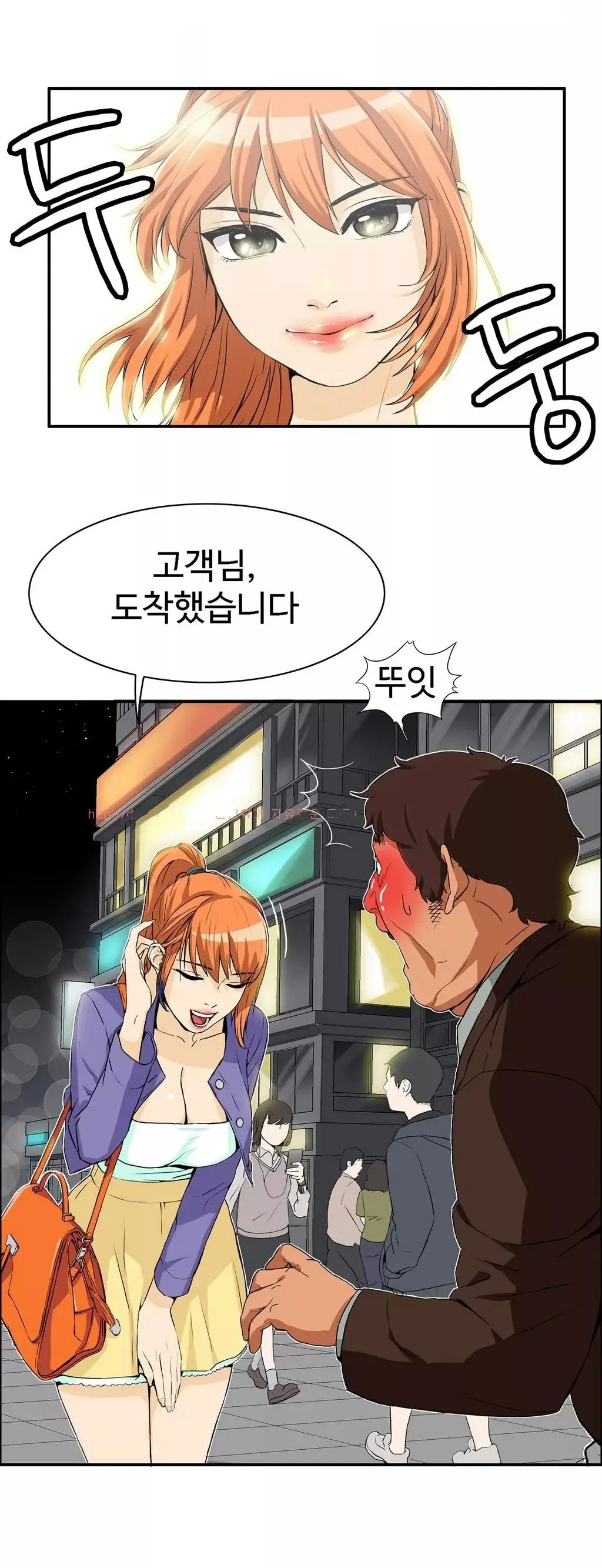 Chauffeur Service Ch.1-30.5