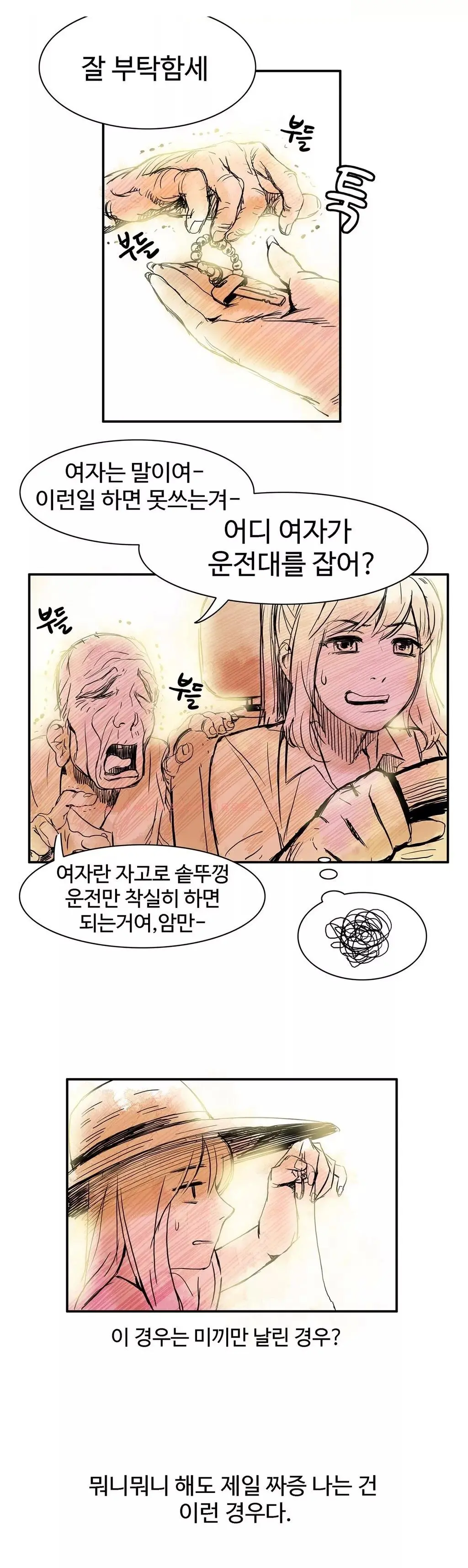 Chauffeur Service Ch.1-30.5