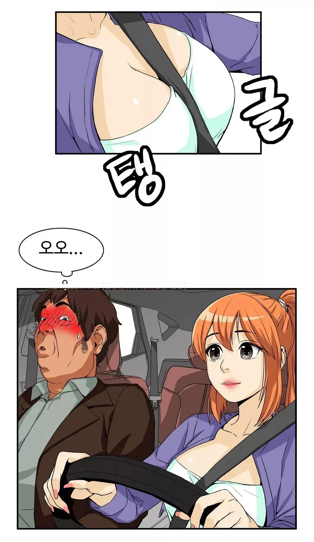 Chauffeur Service Ch.1-30.5