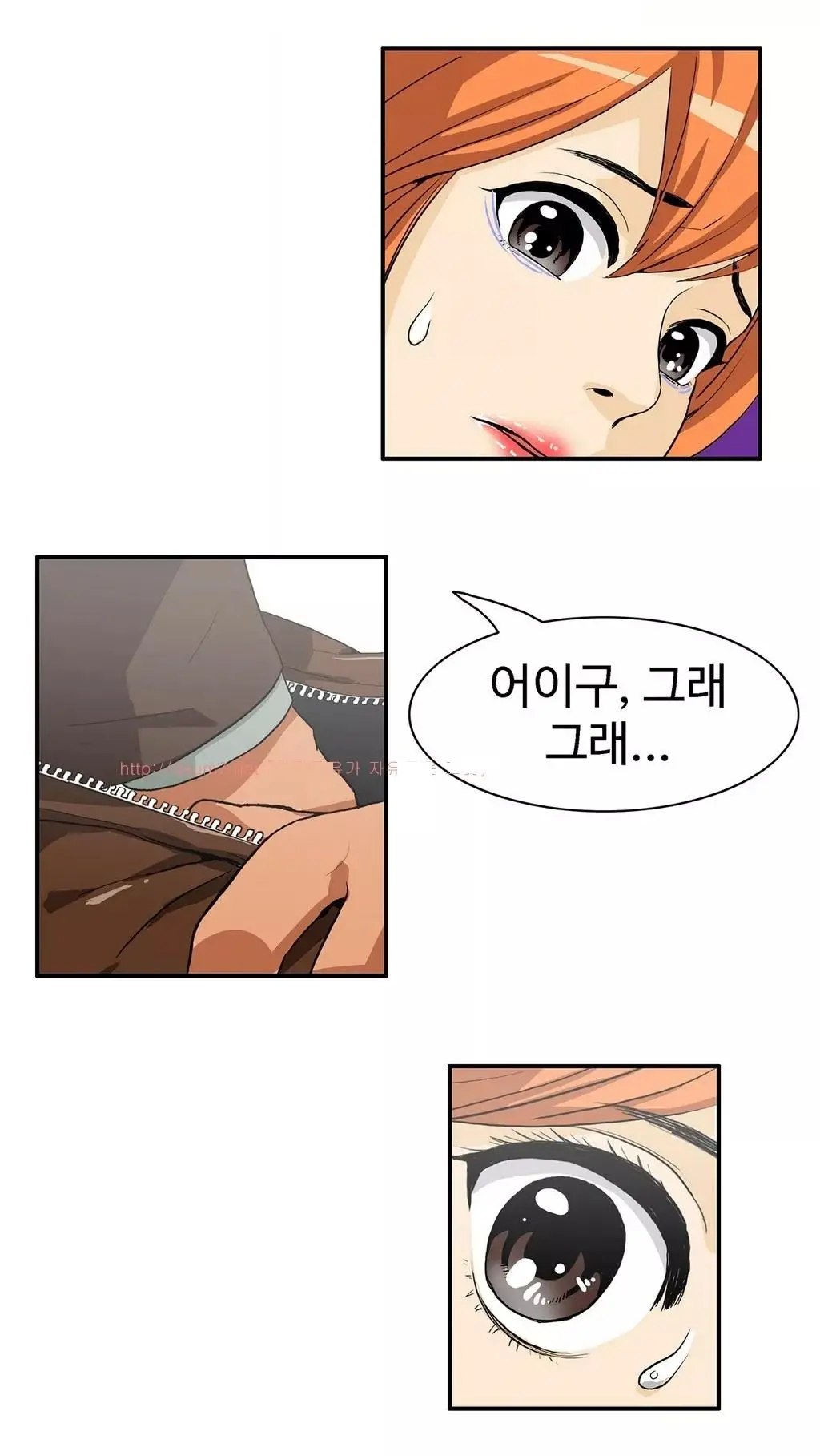 Chauffeur Service Ch.1-30.5