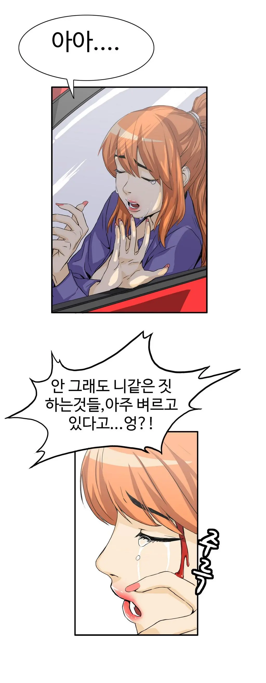 Chauffeur Service Ch.1-30.5