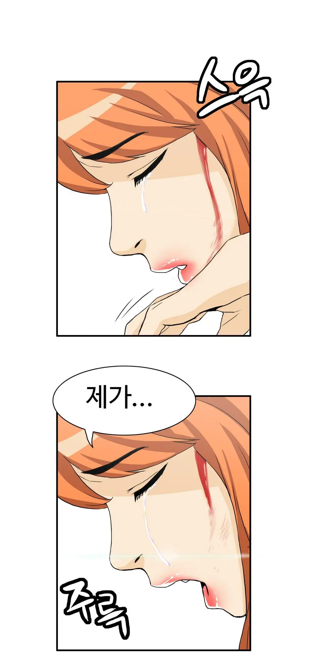 Chauffeur Service Ch.1-30.5