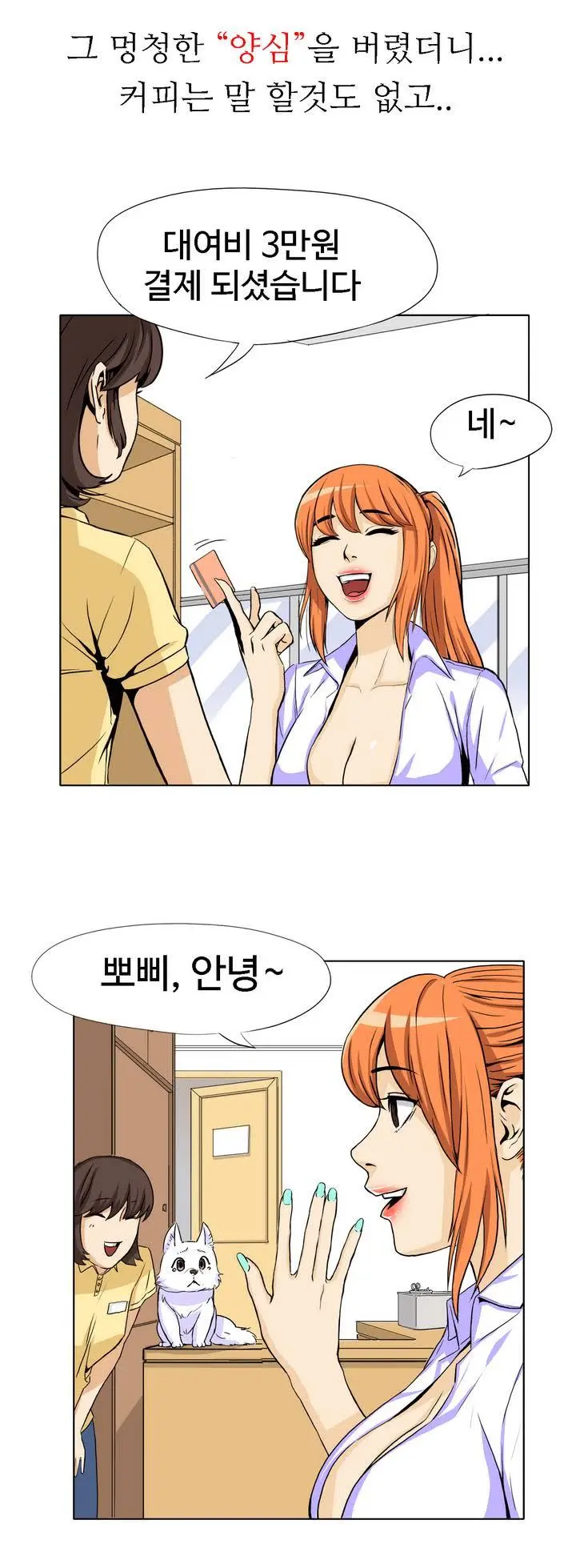 Chauffeur Service Ch.1-30.5