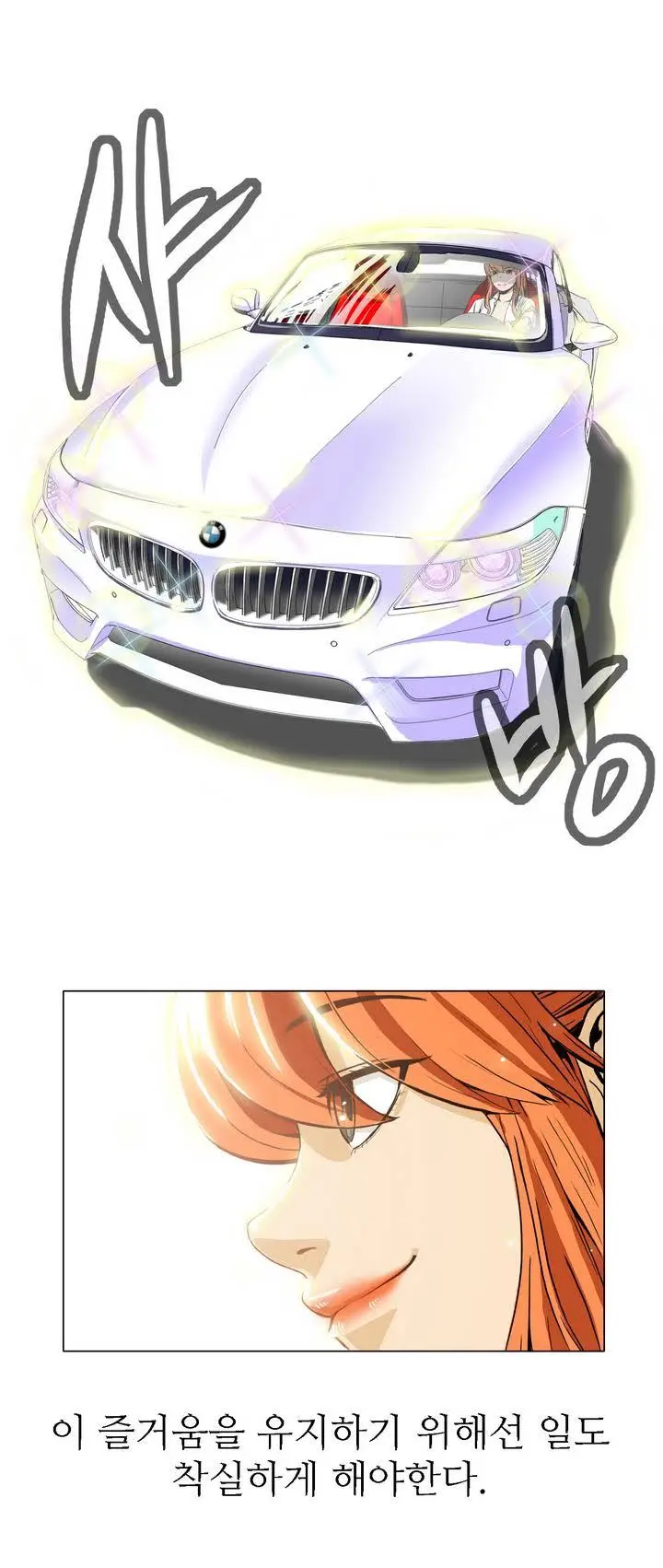 Chauffeur Service Ch.1-30.5