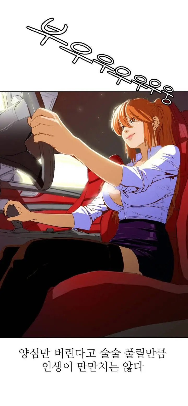 Chauffeur Service Ch.1-30.5