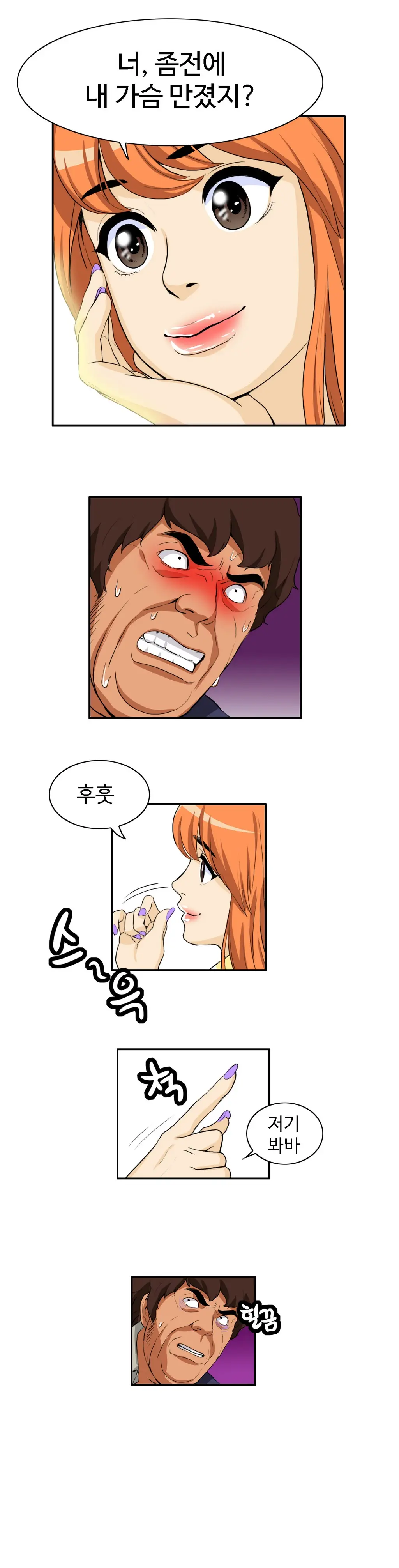 Chauffeur Service Ch.1-30.5