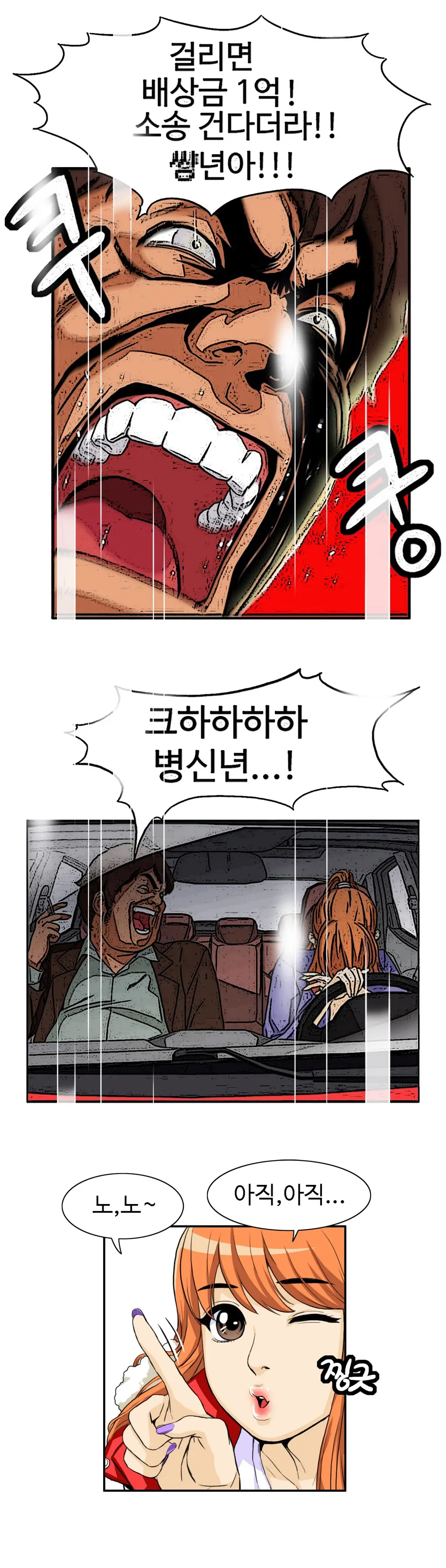Chauffeur Service Ch.1-30.5