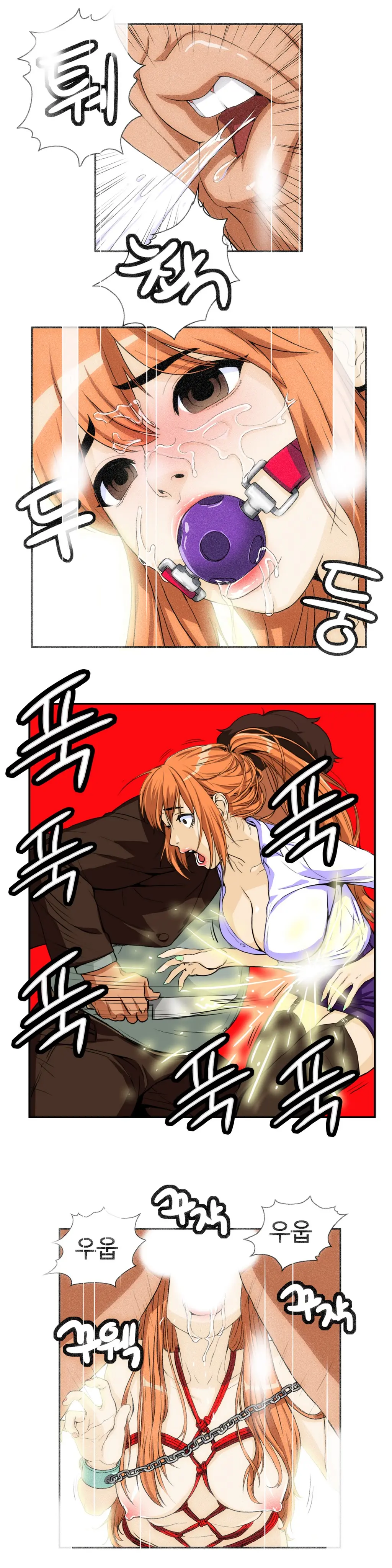 Chauffeur Service Ch.1-30.5