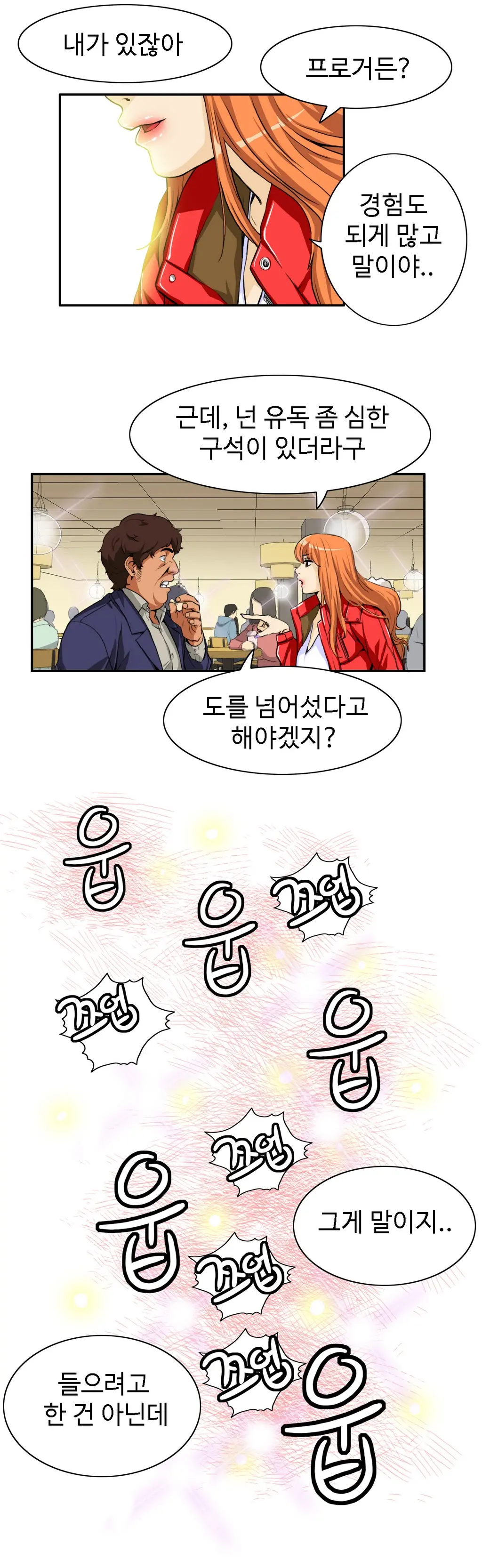 Chauffeur Service Ch.1-30.5