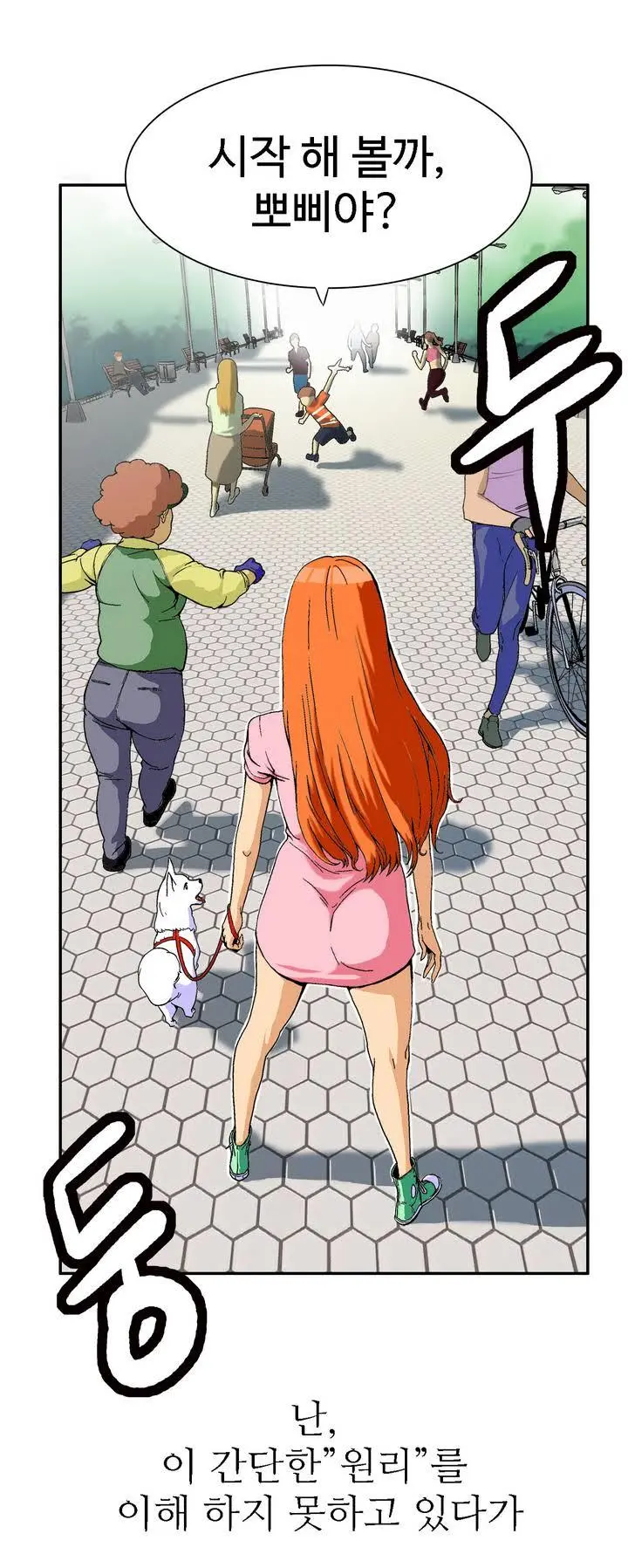 Chauffeur Service Ch.1-30.5