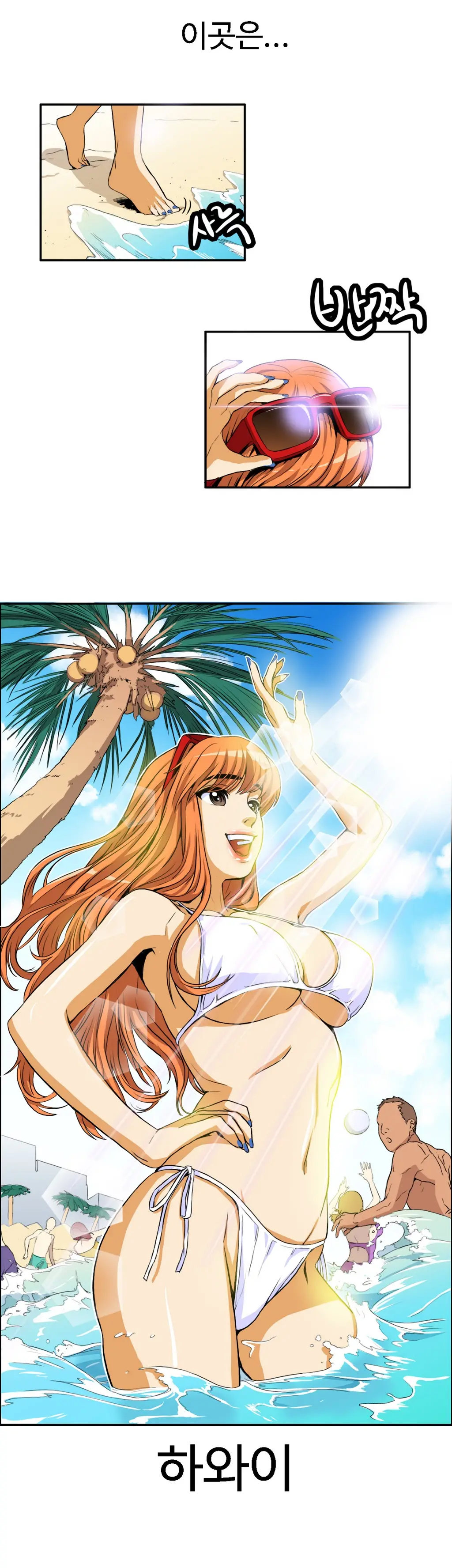 Chauffeur Service Ch.1-30.5