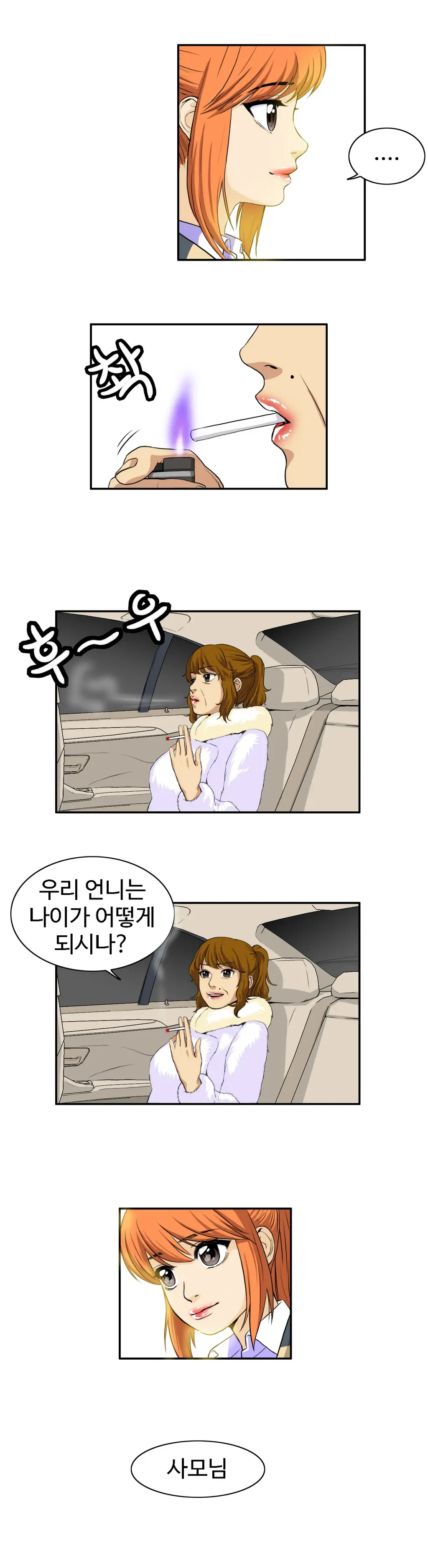Chauffeur Service Ch.1-30.5