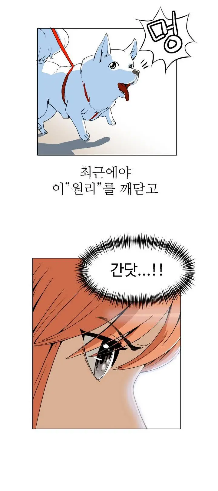Chauffeur Service Ch.1-30.5