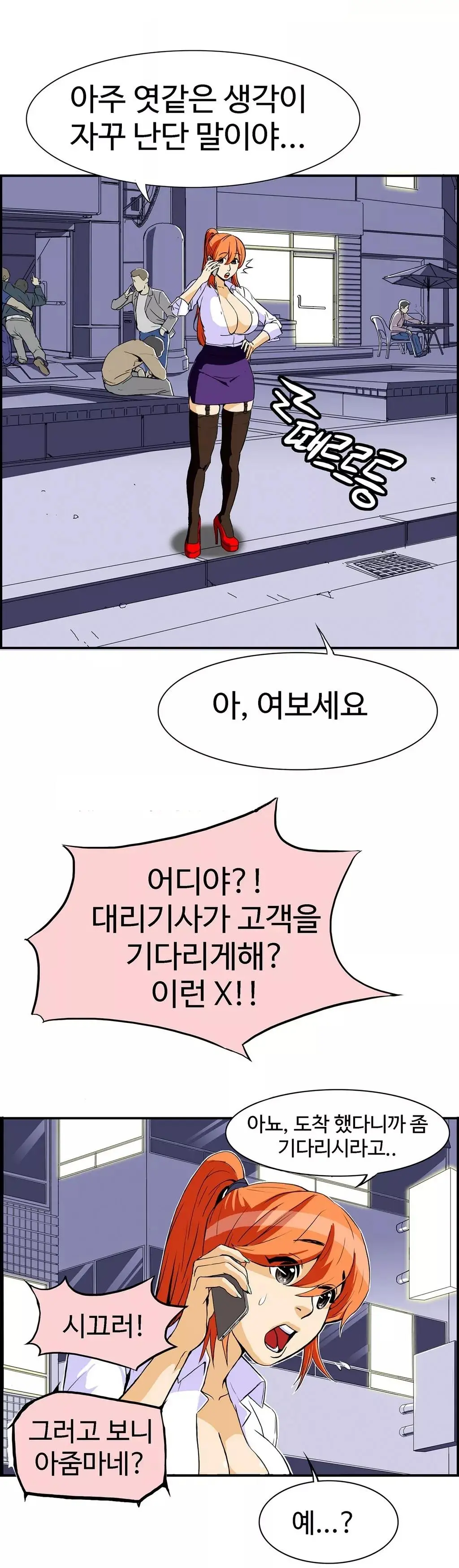Chauffeur Service Ch.1-30.5