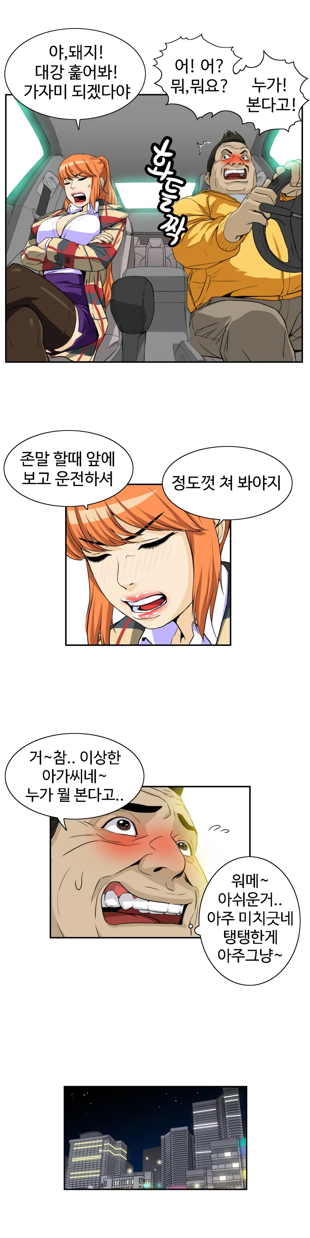 Chauffeur Service Ch.1-30.5