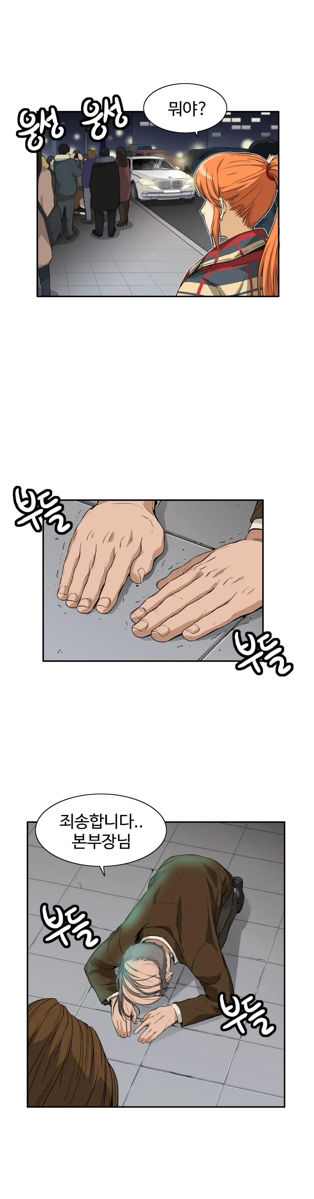 Chauffeur Service Ch.1-30.5