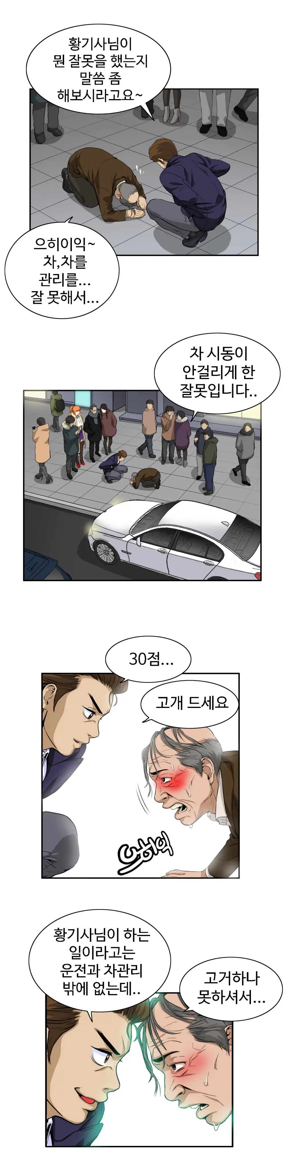 Chauffeur Service Ch.1-30.5