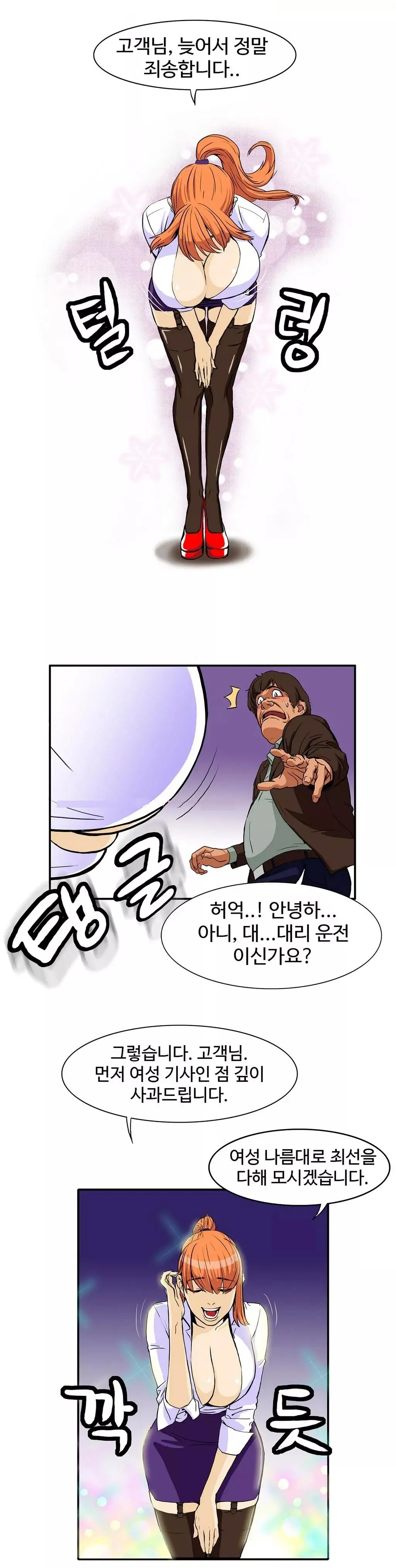 Chauffeur Service Ch.1-30.5