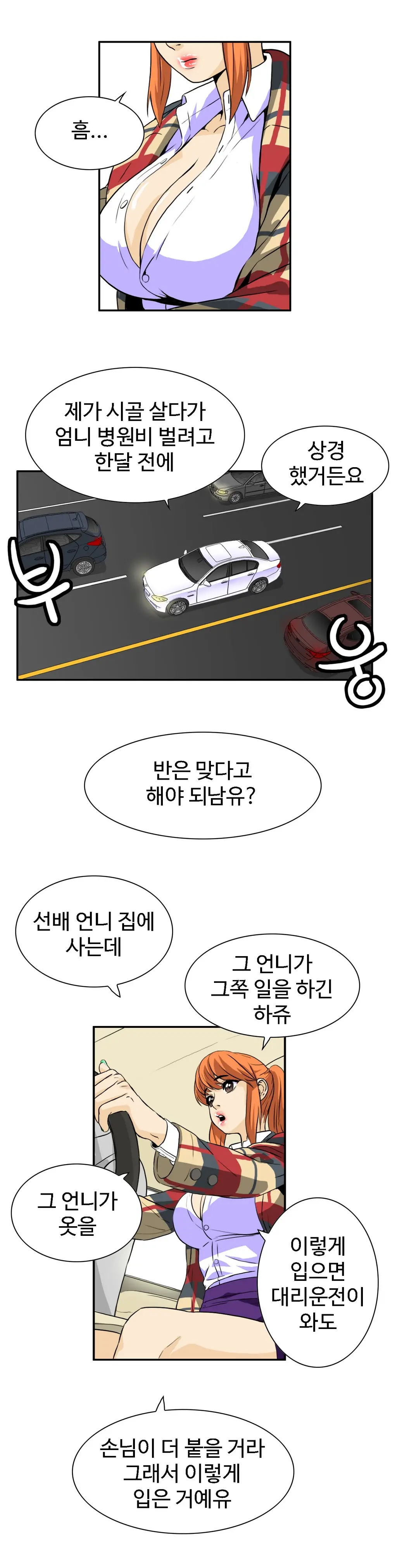 Chauffeur Service Ch.1-30.5