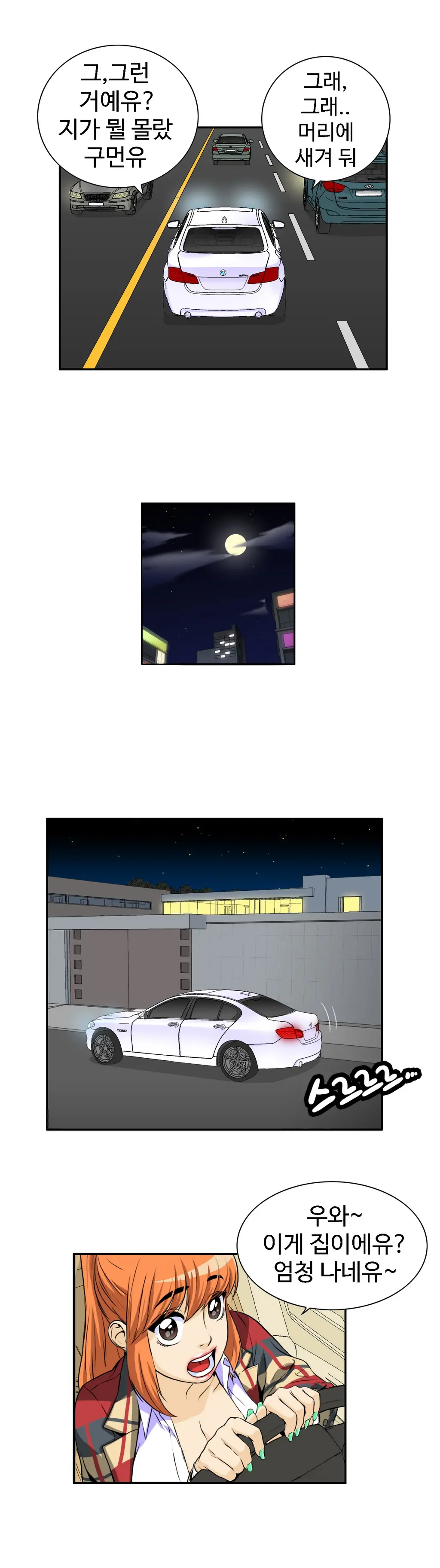 Chauffeur Service Ch.1-30.5