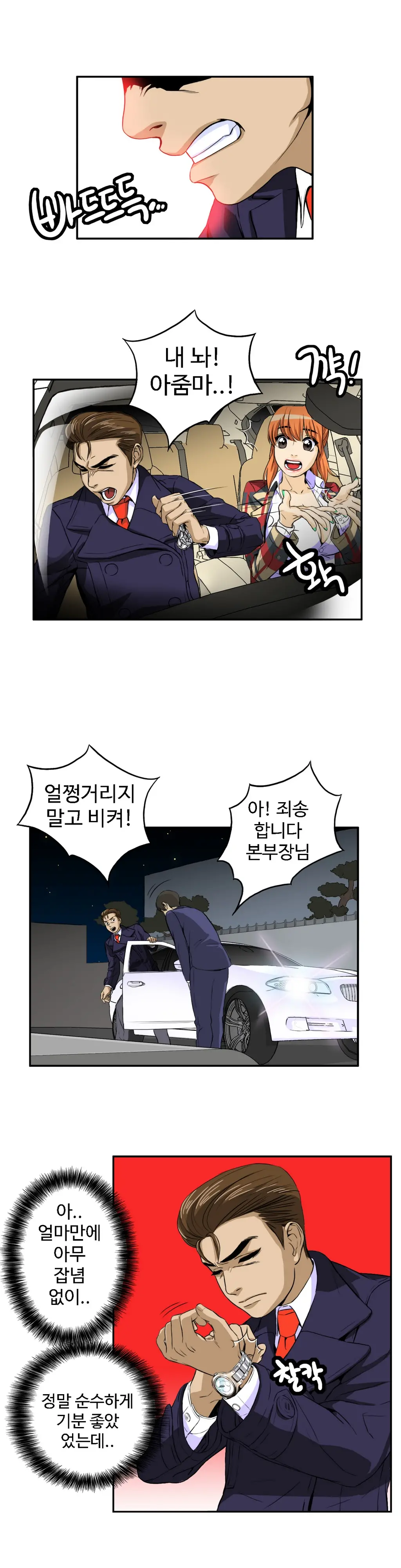 Chauffeur Service Ch.1-30.5