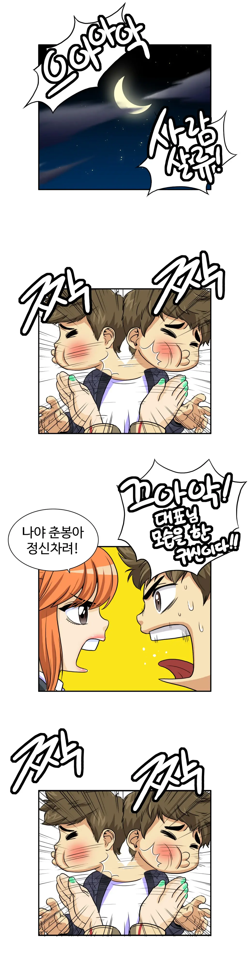 Chauffeur Service Ch.1-30.5